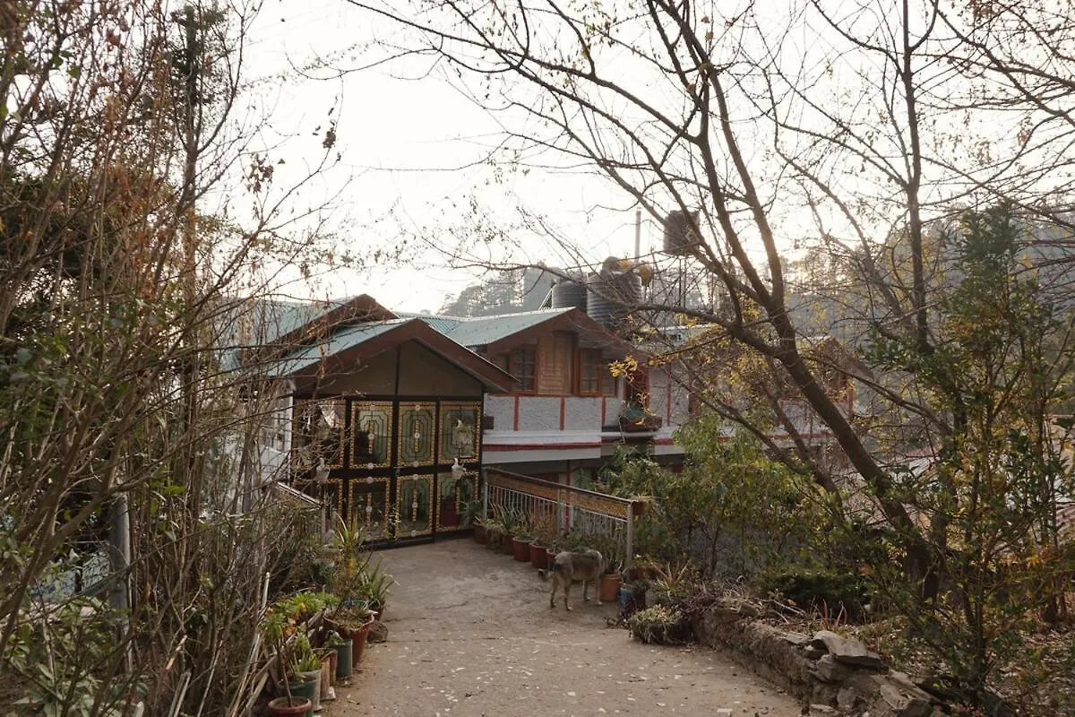 Kalta'S Homestay Shimla